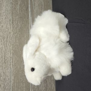 Fluffy angora rabbit sitting plush white